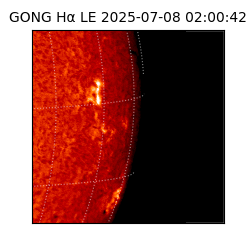 gong - 2025-07-08T02:00:42