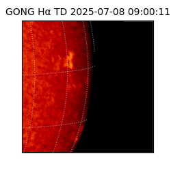 gong - 2025-07-08T09:00:11