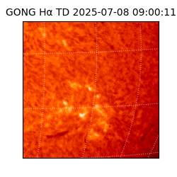 gong - 2025-07-08T09:00:11