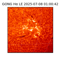 gong - 2025-07-08T01:00:42