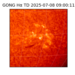 gong - 2025-07-08T09:00:11