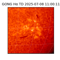 gong - 2025-07-08T11:00:11