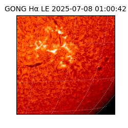 gong - 2025-07-08T01:00:42