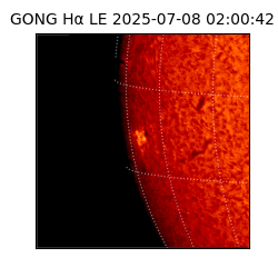 gong - 2025-07-08T02:00:42