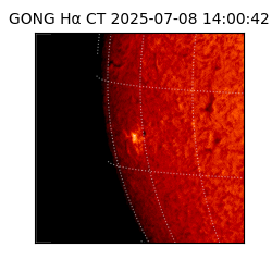 gong - 2025-07-08T14:00:42