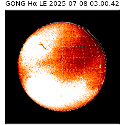 gong - 2025-07-08T03:00:42