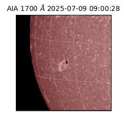 saia - 2025-07-09T09:00:28.717000
