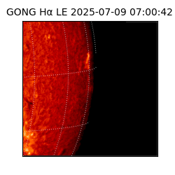 gong - 2025-07-09T07:00:42
