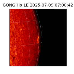 gong - 2025-07-09T07:00:42