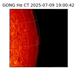 gong - 2025-07-09T19:00:42