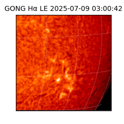 gong - 2025-07-09T03:00:42