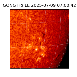 gong - 2025-07-09T07:00:42