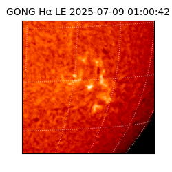 gong - 2025-07-09T01:00:42