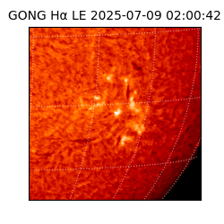 gong - 2025-07-09T02:00:42