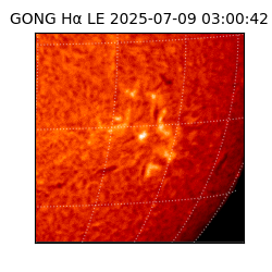 gong - 2025-07-09T03:00:42