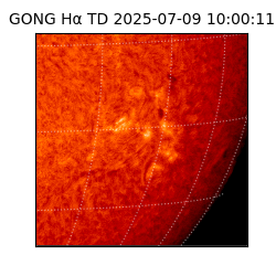 gong - 2025-07-09T10:00:11