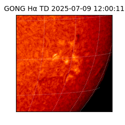 gong - 2025-07-09T12:00:11