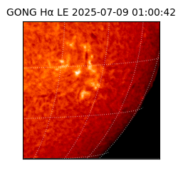 gong - 2025-07-09T01:00:42