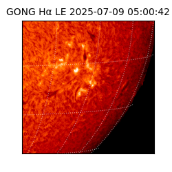 gong - 2025-07-09T05:00:42