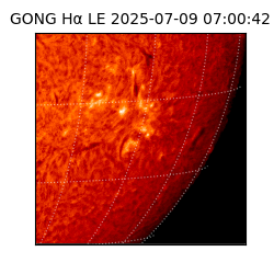 gong - 2025-07-09T07:00:42