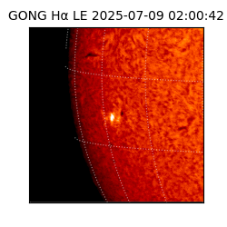 gong - 2025-07-09T02:00:42