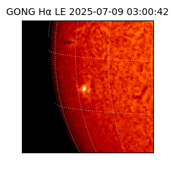 gong - 2025-07-09T03:00:42