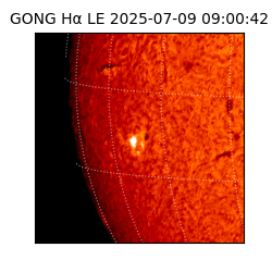 gong - 2025-07-09T09:00:42