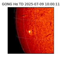 gong - 2025-07-09T10:00:11