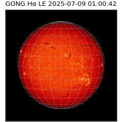 gong - 2025-07-09T01:00:42