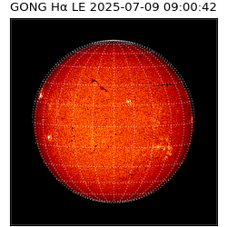 gong - 2025-07-09T09:00:42