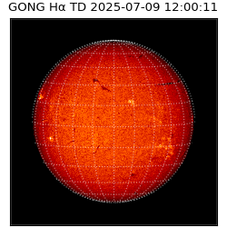 gong - 2025-07-09T12:00:11