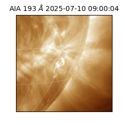 saia - 2025-07-10T09:00:04.843000