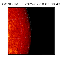 gong - 2025-07-10T03:00:42