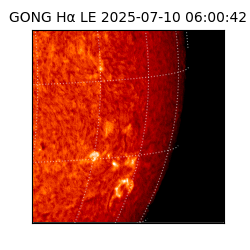 gong - 2025-07-10T06:00:42