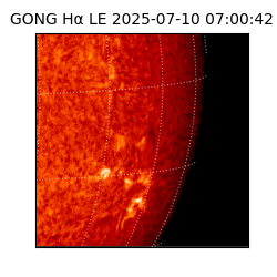 gong - 2025-07-10T07:00:42