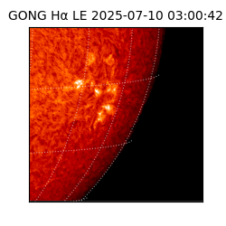 gong - 2025-07-10T03:00:42