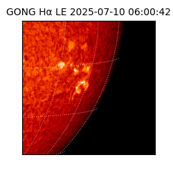 gong - 2025-07-10T06:00:42