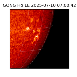 gong - 2025-07-10T07:00:42