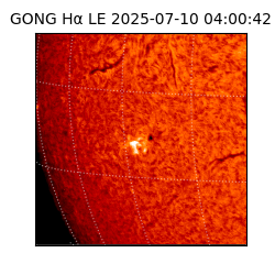 gong - 2025-07-10T04:00:42