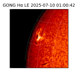 gong - 2025-07-10T01:00:42