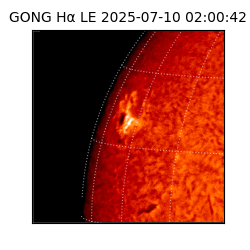 gong - 2025-07-10T02:00:42