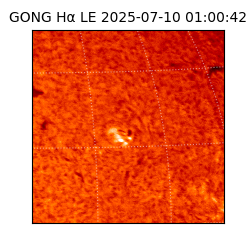 gong - 2025-07-10T01:00:42