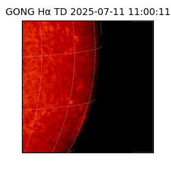 gong - 2025-07-11T11:00:11