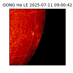 gong - 2025-07-11T09:00:42