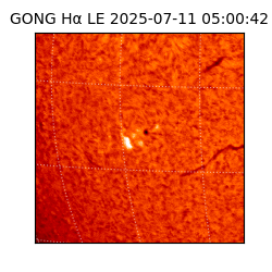 gong - 2025-07-11T05:00:42