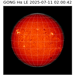 gong - 2025-07-11T02:00:42