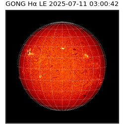 gong - 2025-07-11T03:00:42