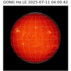 gong - 2025-07-11T04:00:42