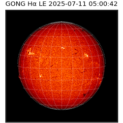 gong - 2025-07-11T05:00:42