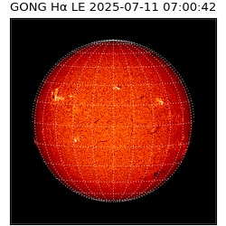 gong - 2025-07-11T07:00:42